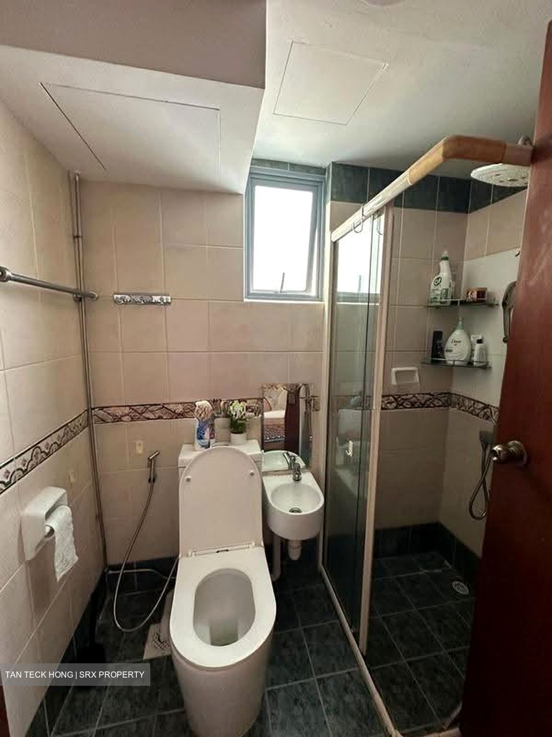 Aquarius By The Park (D16), Condominium #614453321